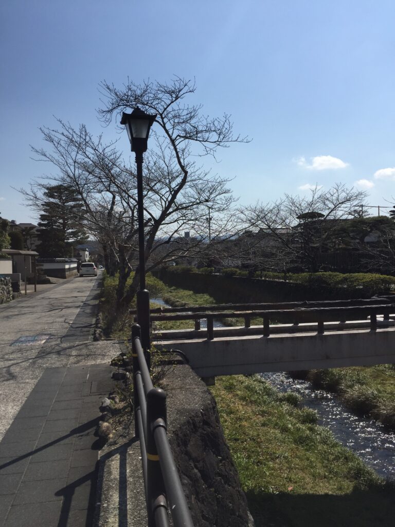 室町時代、京を模して作られた山口の街の中で、一の坂川は京都の鴨川に見たてられました。 春には桜が咲き、夜間にはライトアップして夜桜観賞が楽しめます。初夏には国指定である天然記念物のゲンジボタルの乱舞を見ることができ、毎年5月末～6月初旬にかけて「ほたる観賞ウィーク」が開催されます。
